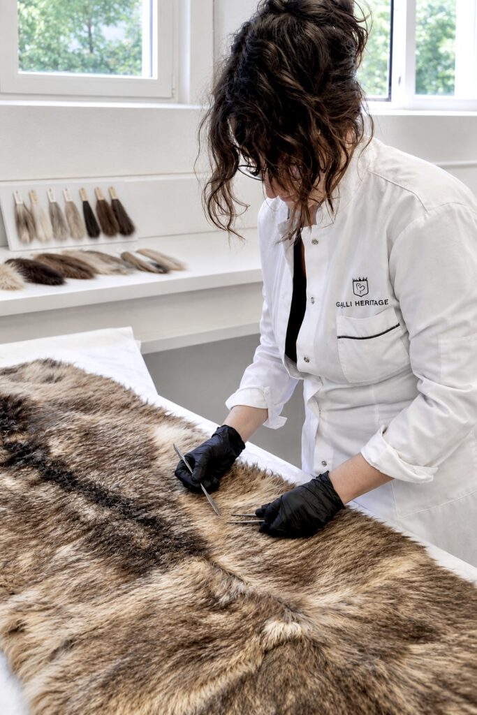 Restauration de peaux, fourrures et plumes anciennes